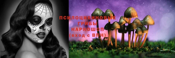 бутират Баксан