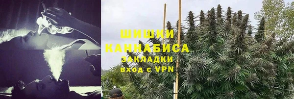 сатива Балабаново